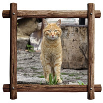 Wood-Frame-print-with-pet-photo-for-t-shirt