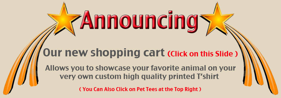 buy-custom-tshirt-with-pet-photo